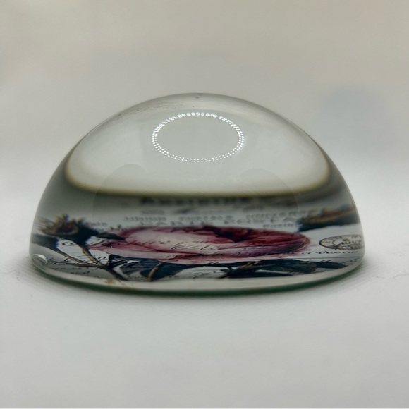 Pressed Paper Glass Paperweight - Picture 2 of 8